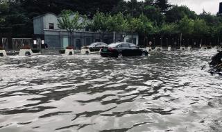 上海暴雨受什么影响